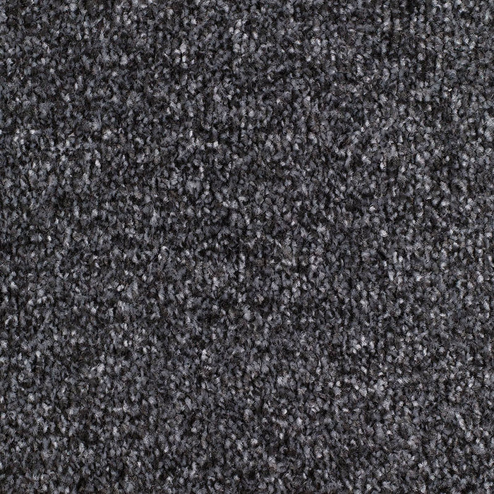 CARRICK COVE ACTION 77 GRANITE Carpet