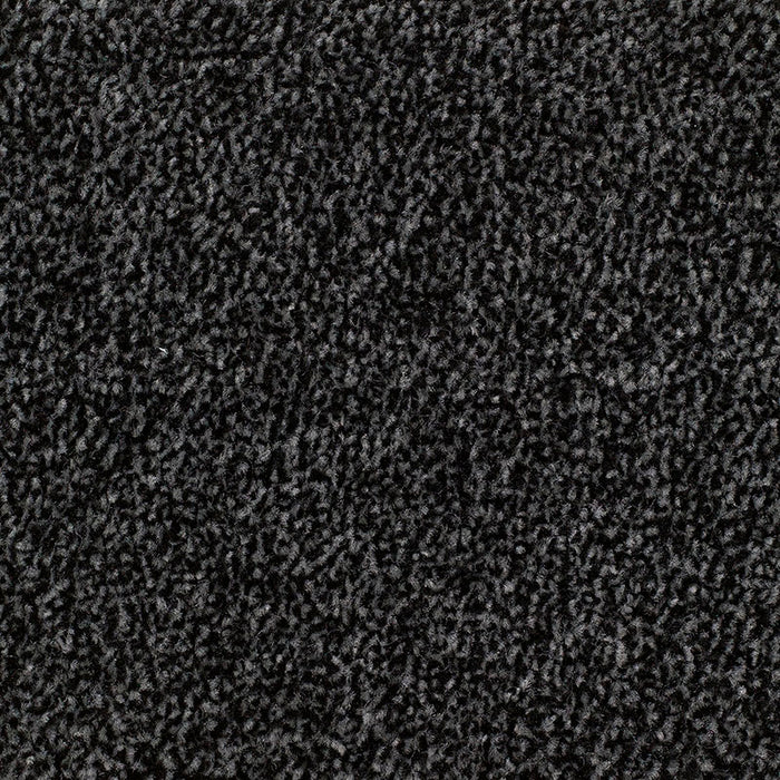 CARRICK COVE ACTION 78 CHARCOAL Carpet
