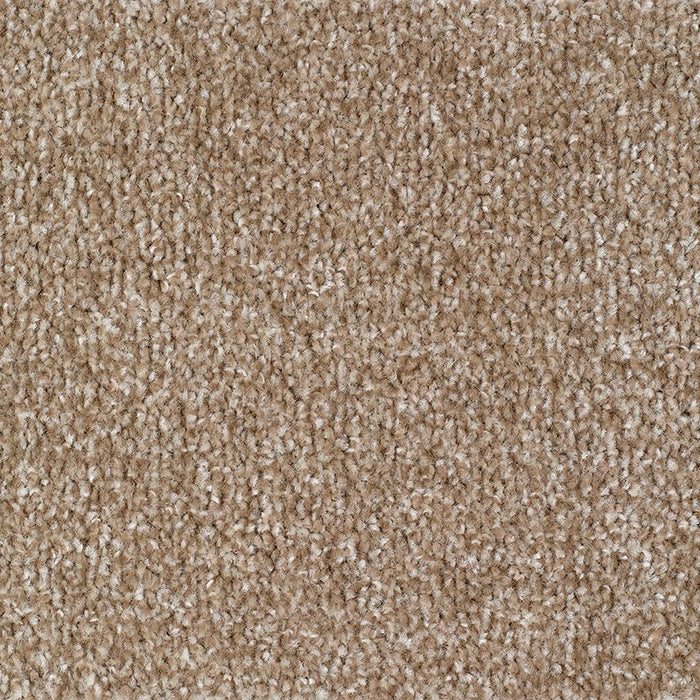 CARRICK COVE ACTION 91 MINK Carpet
