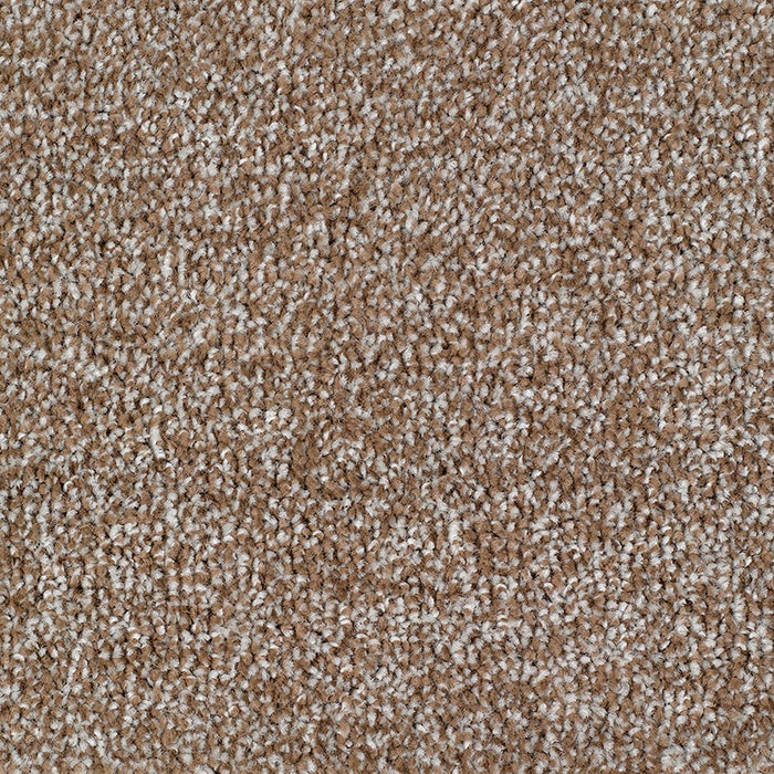 CARRICK COVE ACTION 92 BEIGE Carpet