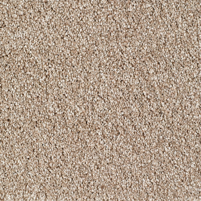 BRIDGEPORT 271 BEIGE Carpet