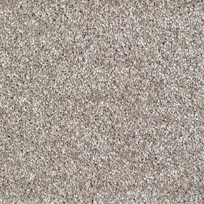 BRIDGEPORT 273 MINK Carpet