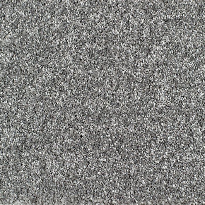 BRIDGEPORT 275 SILVER Carpet