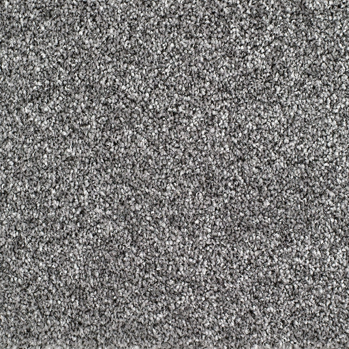 BRIDGEPORT 277 IRON Carpet