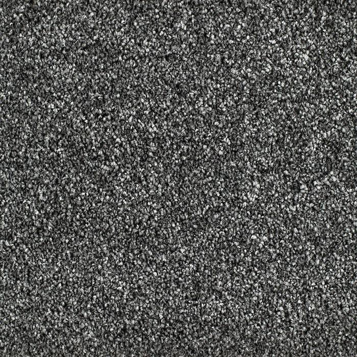 BRIDGEPORT 278 GREY Carpet
