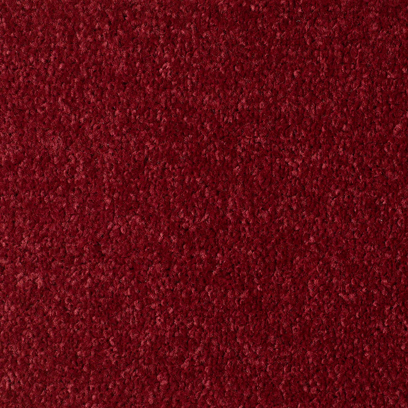 BEXHILL Felt Ruby Carpet | Soft Polyester Twist Pile Carpet — Trade ...
