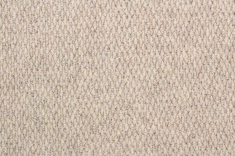 LITTLEBOURNE 62 ALMOND Carpet