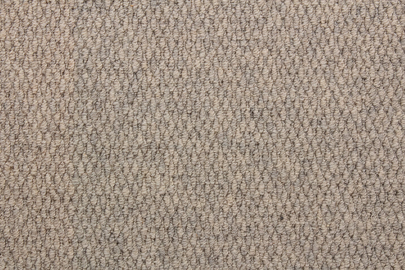 LITTLEBOURNE 69 BISCUIT Carpet