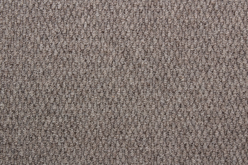LITTLEBOURNE 91 MINK Carpet