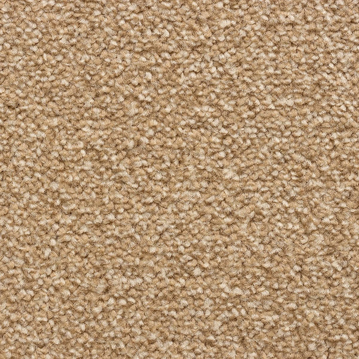 CEDAR FALLS 50 SAND Carpet