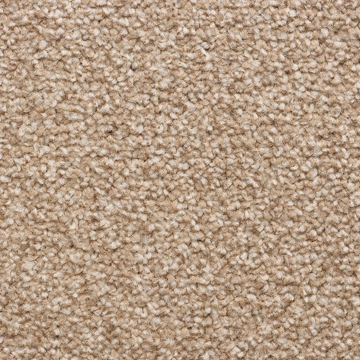 CEDAR FALLS 72 DUNE Carpet