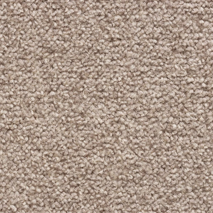CEDAR FALLS 92 FAWN Carpet