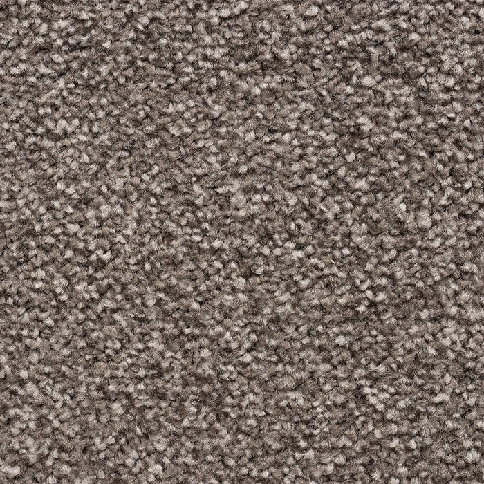 CEDAR FALLS 76 SLATE Carpet