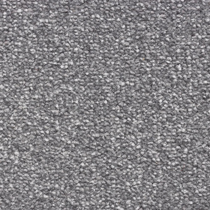 CEDAR FALLS 73 PEWTER Carpet