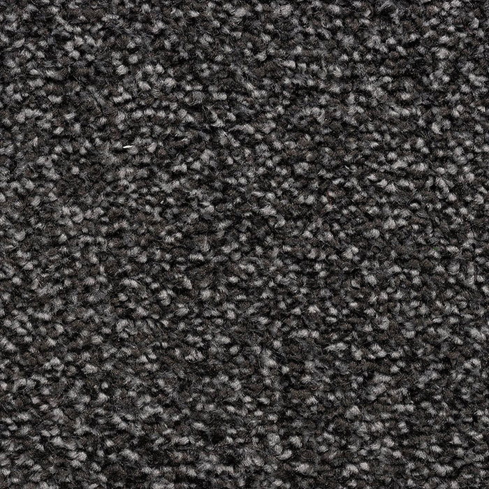 CEDAR FALLS 77 MIDNIGHT Carpet