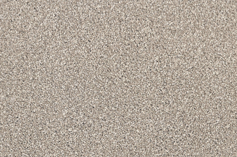 BEXHILL ACTIONBAC TAN Carpet