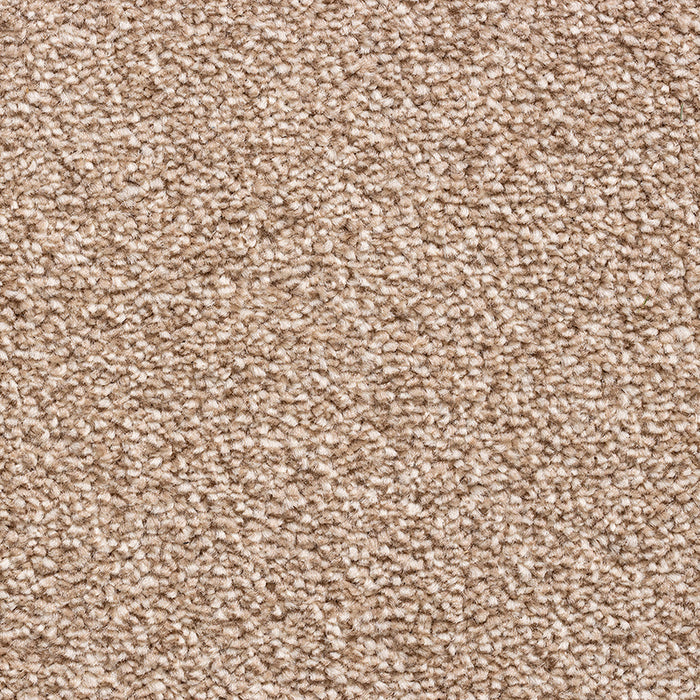 BAYWOOD SAND Carpet
