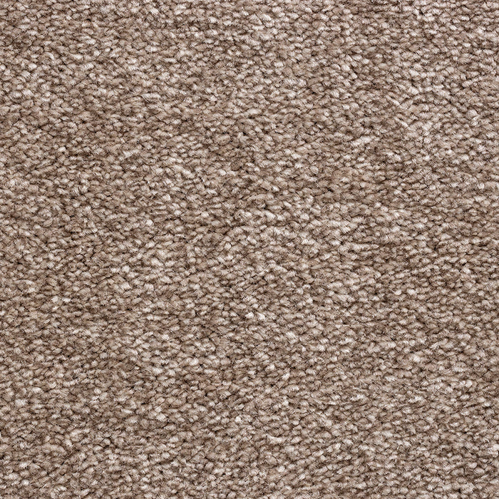BAYWOOD TAUPE Carpet