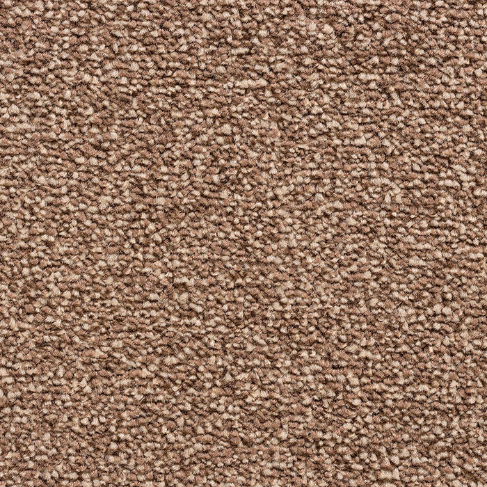 BAYWOOD CHESTNUT Carpet