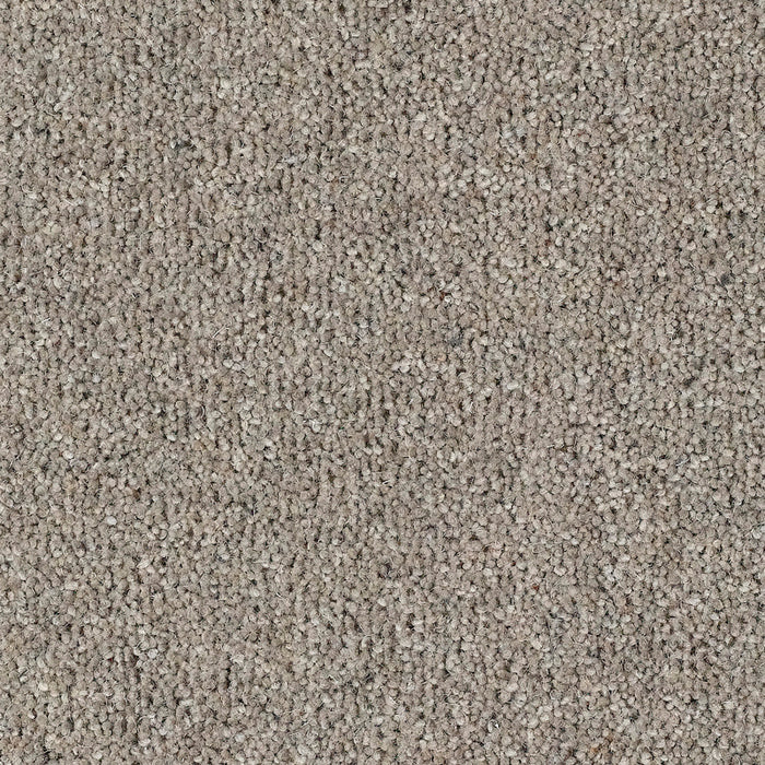 FAIRBOURNE MINK Carpet