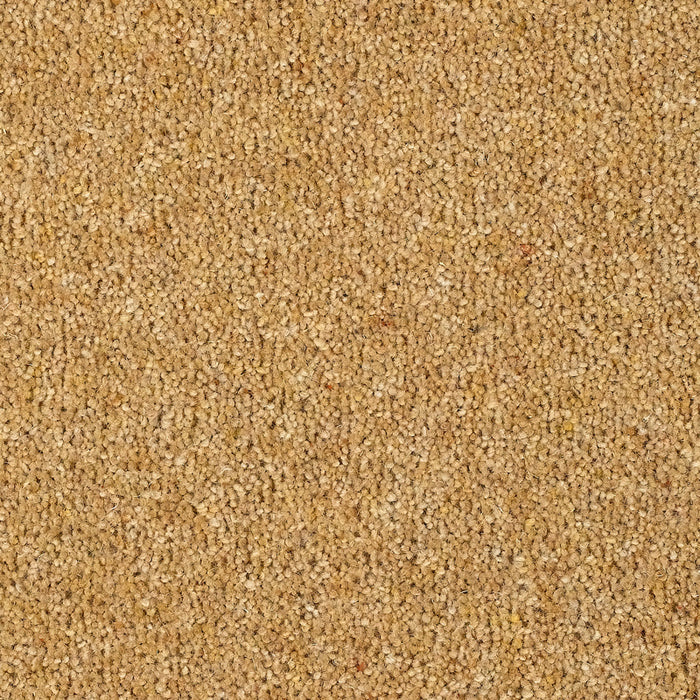 FAIRBOURNE GOLD Carpet