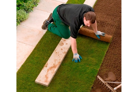 Medallion Finest Multi Purpose Grass - Turf Roll -  1m2