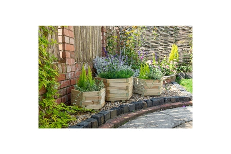Hexagonal Planter  - Pack Of 3