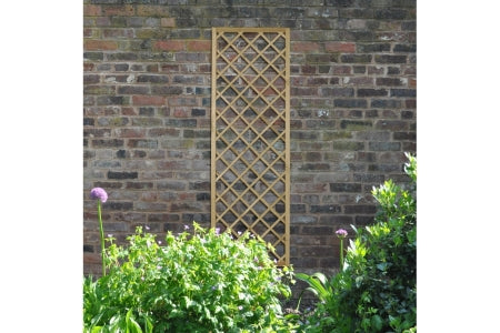 Hidcote Lattice - 180 x 60cm