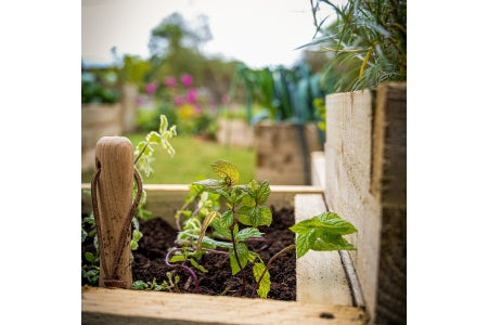 Tiered Raised Bed Pressure Treated - 600 x 900 x 900mm