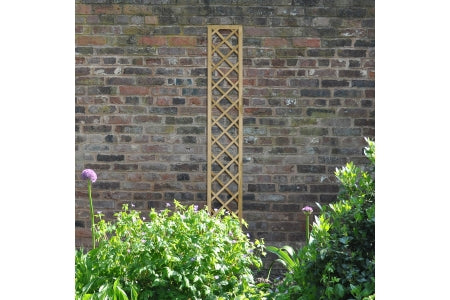 Forest Garden Hidcote Lattice - 180 x 300mm - Pack of 6