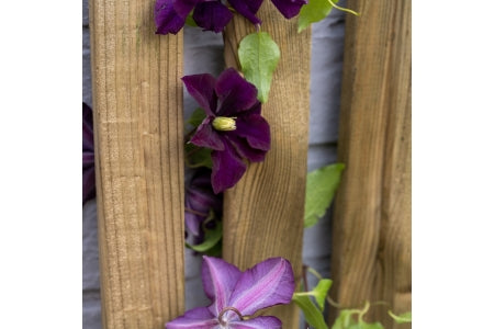 Vertical Slatted Screen - 180 x 30cm