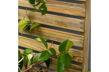 Slatted Trellis - 180 x 60cm