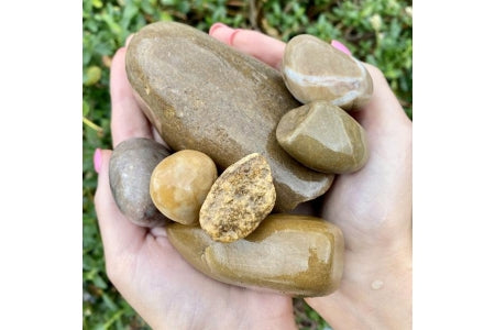 Suburban Stone North Sea Pebbles - Trade Pack