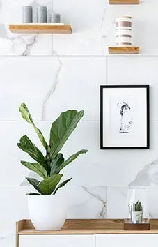 Inspiro Spring