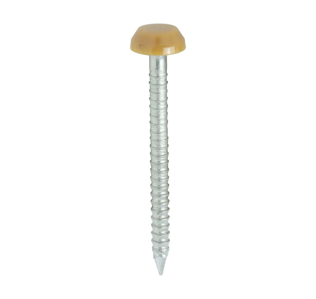 Irish Oak Polytop Stainless Steel Fixing Nails — Trade Superstore Online