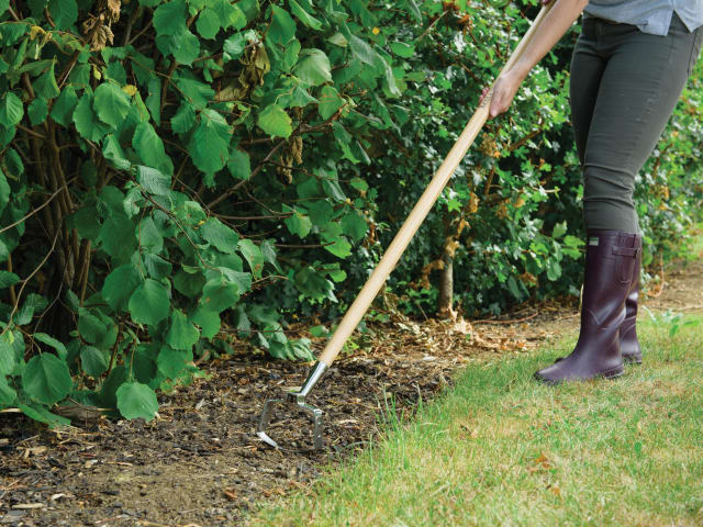 Stainless Steel Oscillating Hoe, FSC®