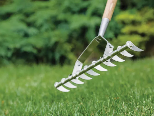 Stainless Steel Long Handled Scarifying Rake, FSC®