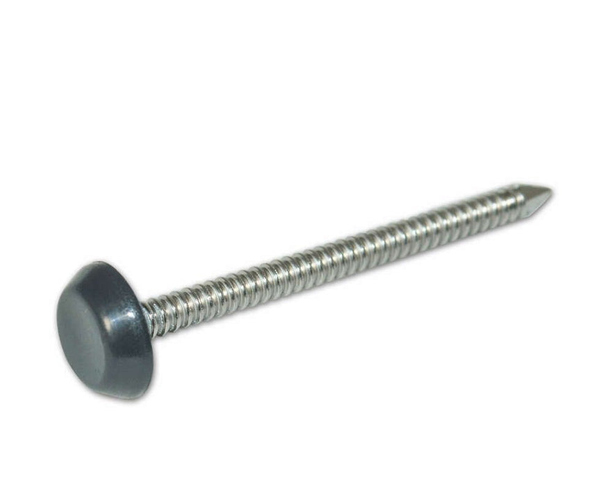Light Grey Polytop Stainless Steel Fixing Nails