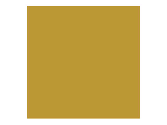 Direct to Metal Paint Gold Satin 250ml
