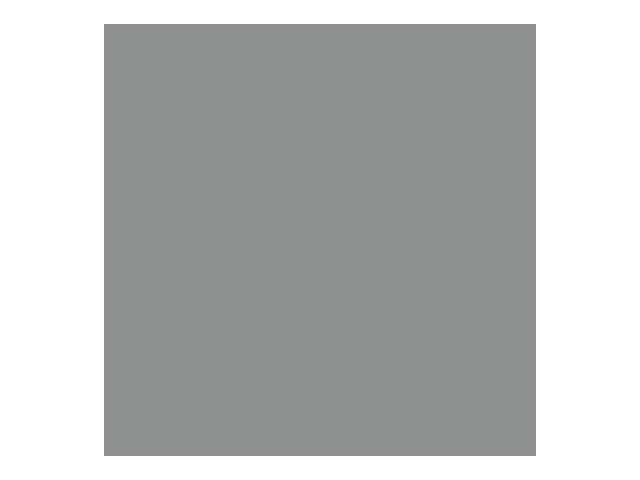 Direct to Metal Paint Silver Satin 250ml