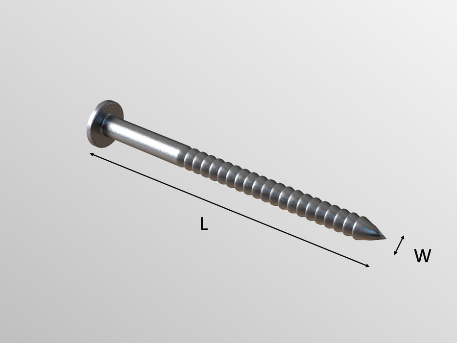 SS/ARS Stainless Steel Annular Ring Shank Nails