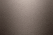 Timber_Bark
