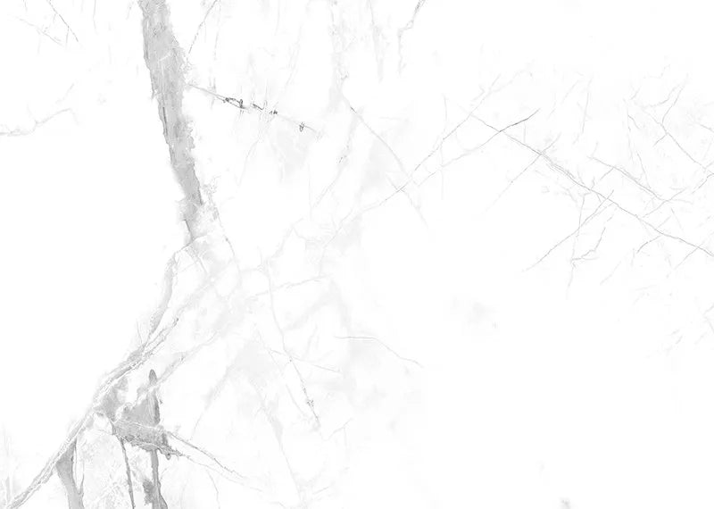 Vilo SPC Tile Calacatta Snow – 60cm x 30cm