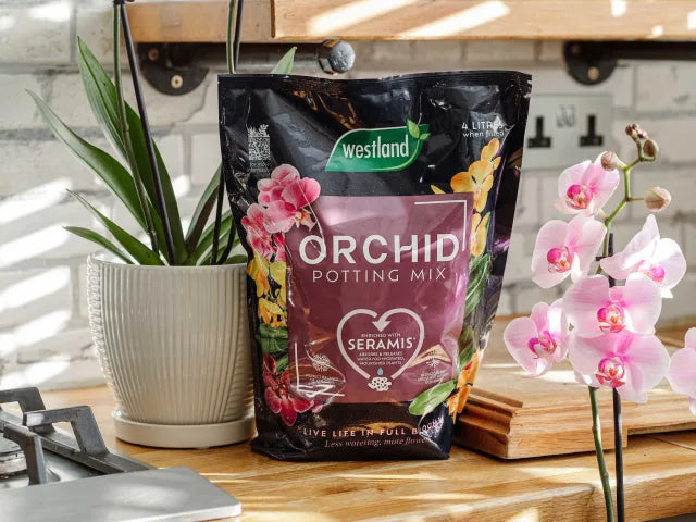 Orchid Potting Mix 4 litre