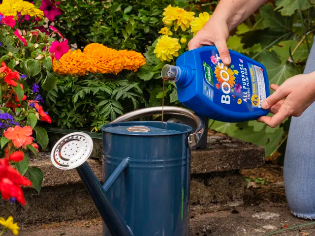 Boost All Purpose Liquid Plant Food 1L