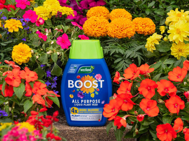 Boost All Purpose Liquid Plant Food 1L