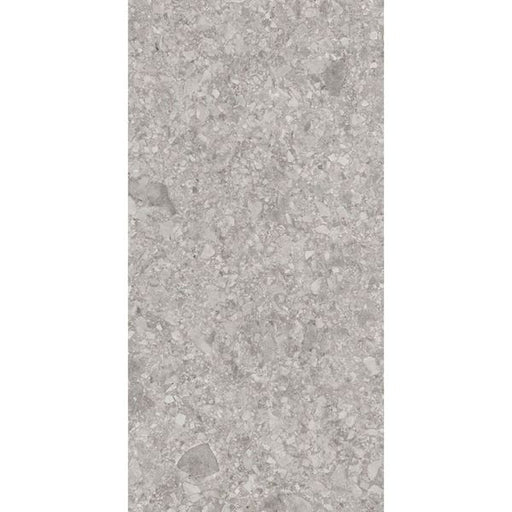 Balance Ceppo Di Gre Grey Matte - 300x600- Individual Tile