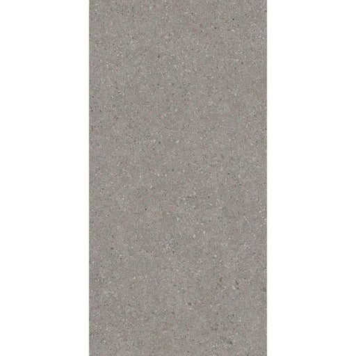 Balance Grey Matte Tile- 300x600 - Individual Tile