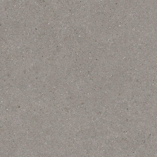 Balance Grey Matte Tile - 600x600 - Individual Tile