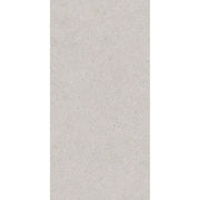 Balance Silver Matte Tile - 300x600 - Individual Tile